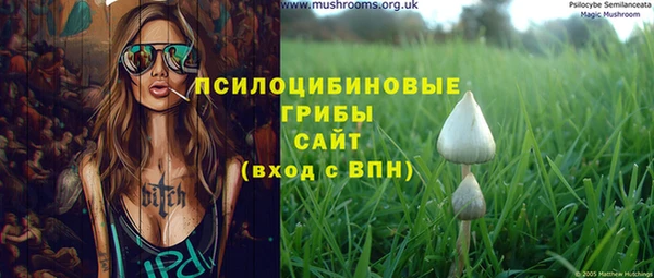 a pvp Осинники