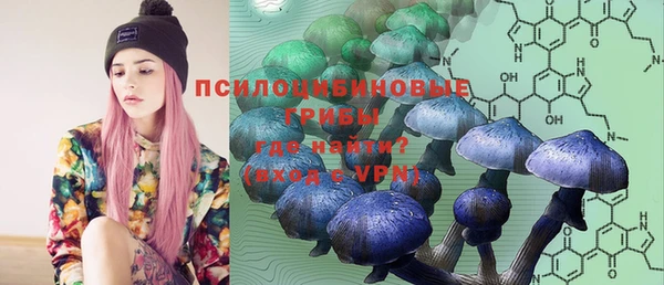 ешки Осташков