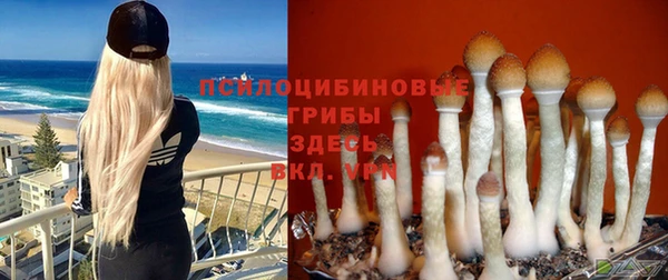 кокаин VHQ Бородино